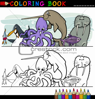 Marine and Sea Life Animals for Coloring