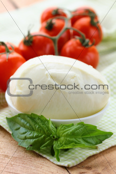 ball of mozzarella cheese with basil and tomatoes