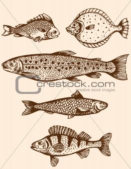 Vintage fish