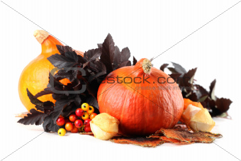 Autumn decoration with hokkaido pumpkins and colorful leaves
