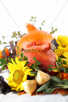 Autumn decoration with hokkaido pumpkins and sunflowers