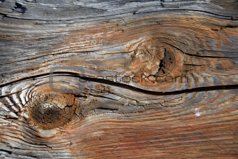 Close up of a brown wooden background