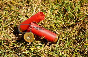Used fired shells empty red shot gun  bullet cartridges