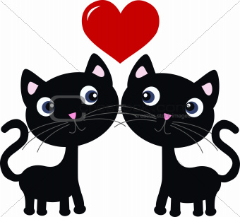 two cats in love
