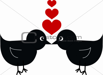 two birds in love