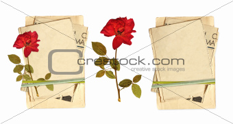 Old cards and dried rose
