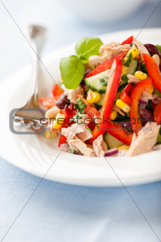 Mixed vegetable and tuna salad with fresh herbs
