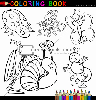 Insects and bugs for Coloring Book or Page