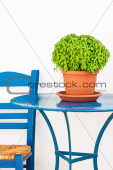 Blue chair and table with basil flowerpot