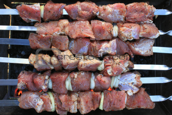 Appetizing meat on skewers