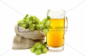 Hop cones and glass of beer.