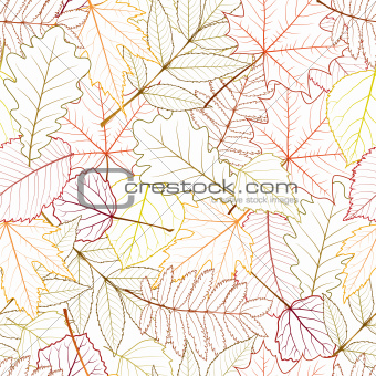 seamless with autumn leaves on white background.