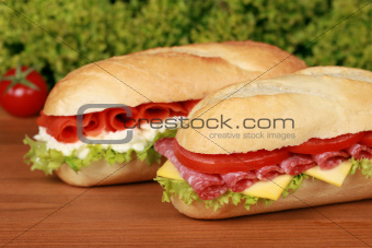 Sandwiches with salami and smoked salmon