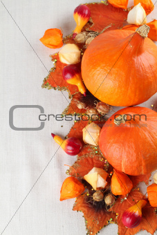 Autumn border with Red Kuri pumpkins