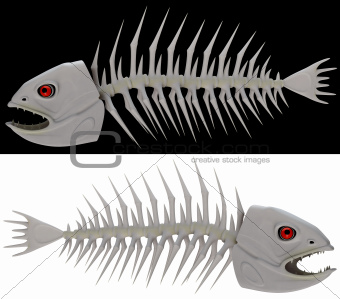 skeleton of a fish