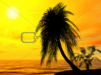 single palm on the uninhabited island on a brightly sunset
