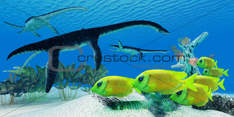 Plesiosaurus Coral reef