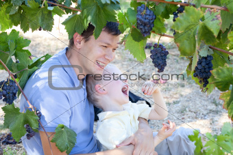 father and son eating grapes