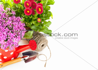 spring flowers with garden tools