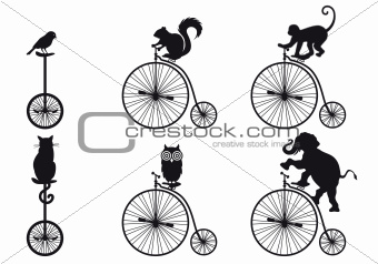 retro bicycle with animals, vector set