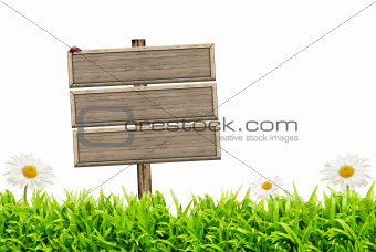 Blank wooden sign and green grass with daisies