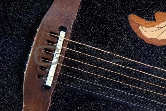 detail from guitar