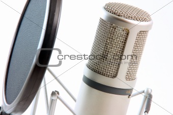 microphone filter horizontal