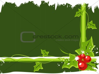 christmas holly berries with snow on green background