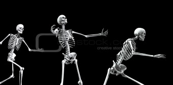 Skeleton Group