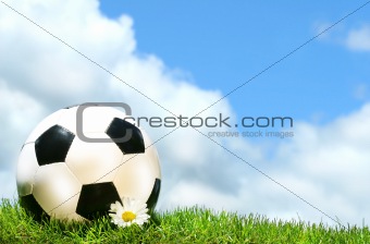 Soccerball with daisy against a blue sky