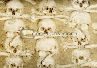Background with human skulls and bones