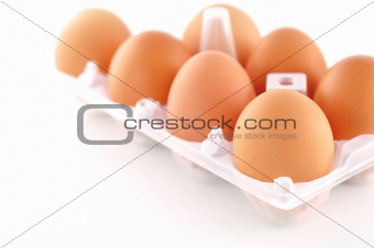 eggs on isolated