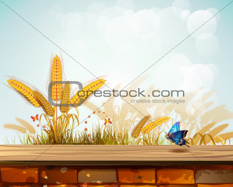 Landscape with wheat