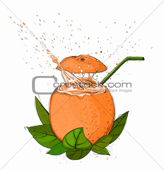Orange Fresh Juice Splash