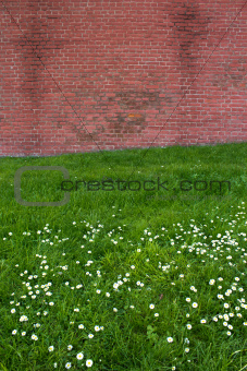 Brick wall on flower field
