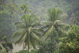 Torrential Rain Loboc River Bohol Philippines