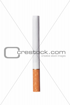 One Cigarette isolated on the white background