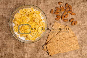 Bowl of cornflakes with milk
