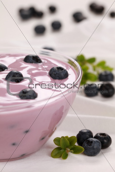 Yogurt with bilberries
