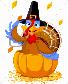Thanksgiving Turkey in the  pumpkin