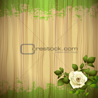 Rose over wood