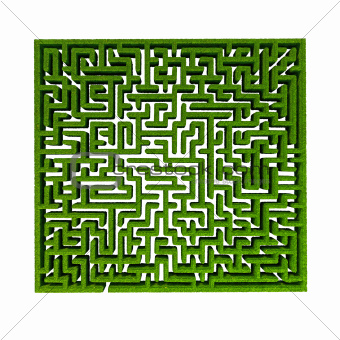 grass maze