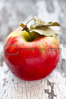 Wet red apple.