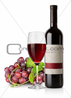 Dark blue grapes and red wine