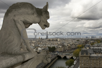 The gargoyle of Notre Dame - Paris, France