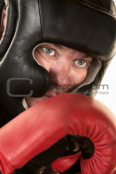 Close Up of Boxer Face