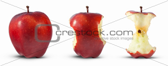 Apple core eaten