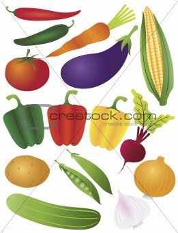 Vegetables Illustration Isolated on White Background