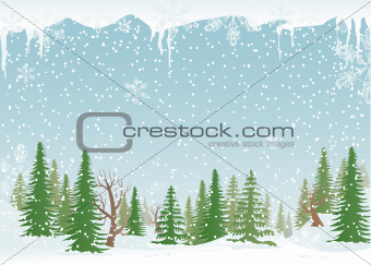 Snowy forest landscape
