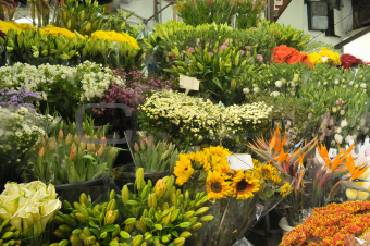 Market of flowers